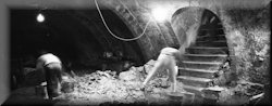 La cave